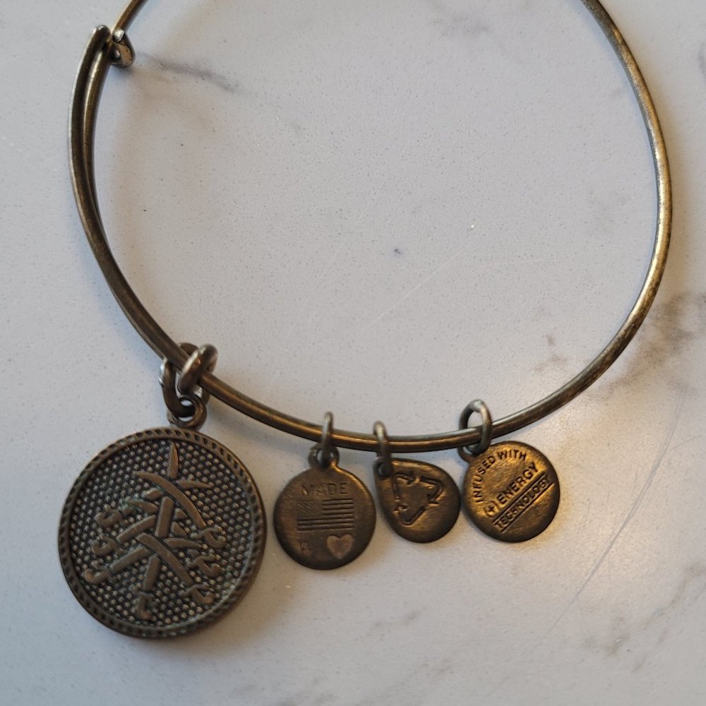 Alex And Ani 7 Swords Gold Tone Wire Charm Stackable Bangle Bracelet
